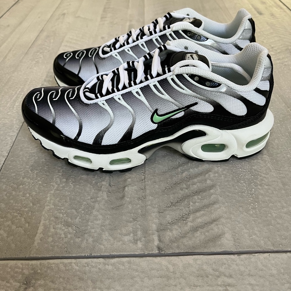 Nike Air Max Plus sneakers (NIB)